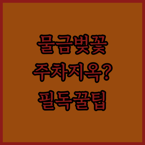 양산 물금 벚꽃축제 방문 전 확인해야 할 주차 및 이동 방법