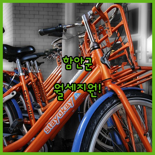 2026년 함안군 청년월세 지원사업 신청 방법과 준비 서류