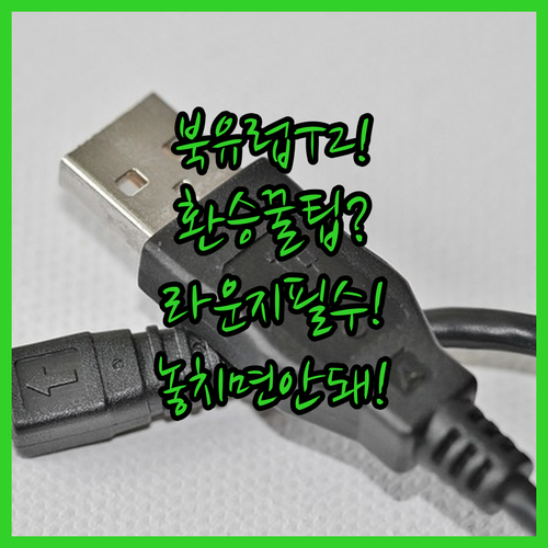 스칸디나비아항공 인천공항 T2 환승과 라운지 정보