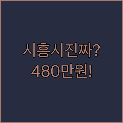 시흥시 청년월세지원 480만원 혜택 | 자격 조건과 서류 준비 항목