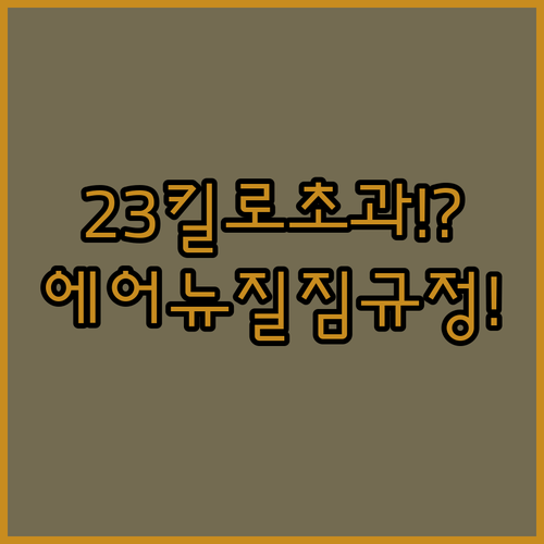 에어 뉴질랜드 짐 규정 | 이코노미 23kg 초과 요금은