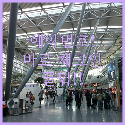 에어 뉴질랜드 예약번호로 쉽게 체크인하는 법