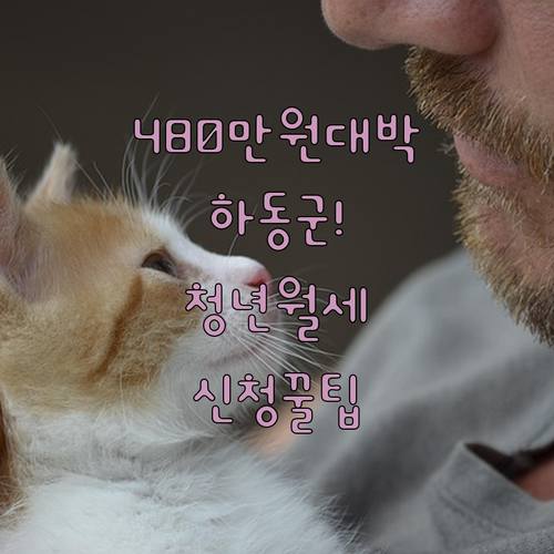 하동군 청년월세 480만원 혜택 조건 및 복지로 신청 방법