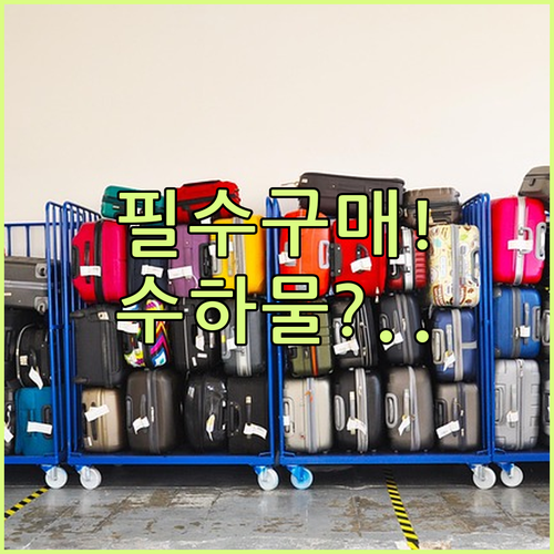 에코 클래스 위탁수하물 없음 사전 구매 필수 타이비엣젯