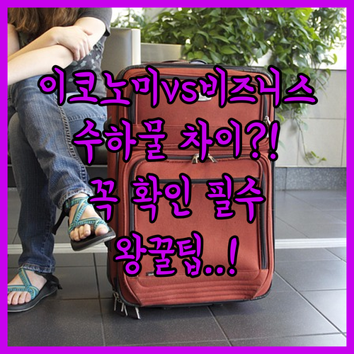 이코노미 비즈니스 클래스 수하물 차이점