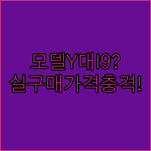 테슬라 모델 Y와 아이오닉 9, 실구매 가격과 성능 차이