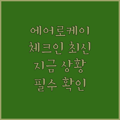에어로케이 체크인 현재 지원 상황과 공항 절차