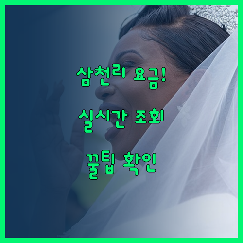 삼천리 도시가스 요금 실시간 조회 방법 및 관리 팁