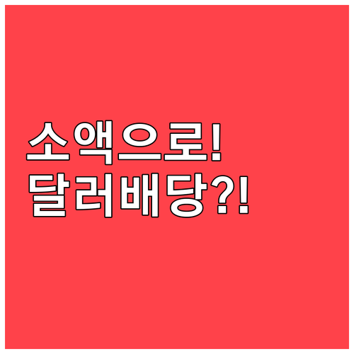 소액 투자자의 미국 주식 거래 방법과 배당금 수령 안내