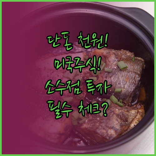 미국 주식 소수점 투자 방법과 장점 및 주의사항
