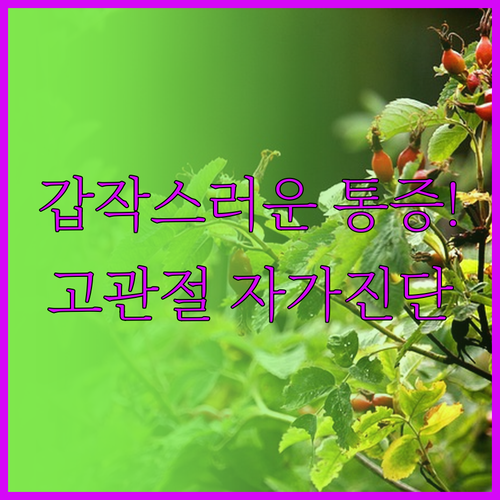 image bde7d6c4