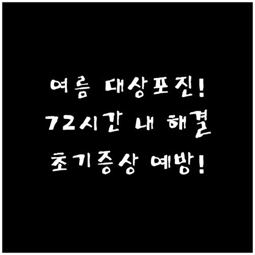 여름 대상포진 전조증상과 원인 | 72시간 내 치료법과 예방책
