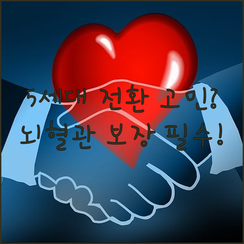 5세대 실손보험 전환 기준과 뇌혈관질환 보장 효율성 확인