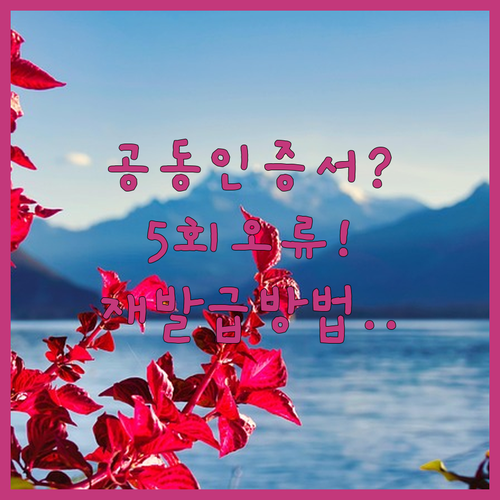 공동인증서 비밀번호 5회 오류 해결방법과 비대면 재발급 수수료