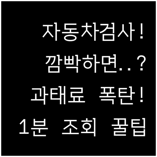 자동차검사 유효기간 조회 방법과 지연 과태료 부과 기준