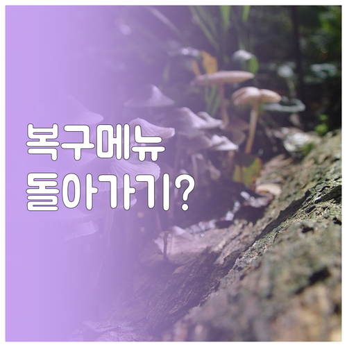 윈도우 11 복구 메뉴 돌아가기 조건과 주의사항