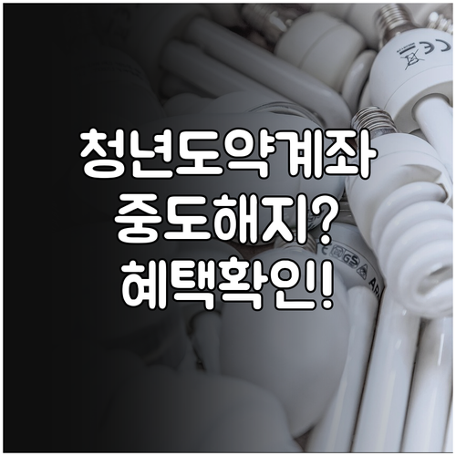 청년도약계좌 중도해지 전 정부기여금과 비과세 혜택 확인