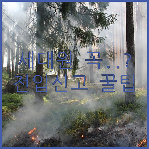전입신고 세대원은 꼭 같이 신고해야 할까?