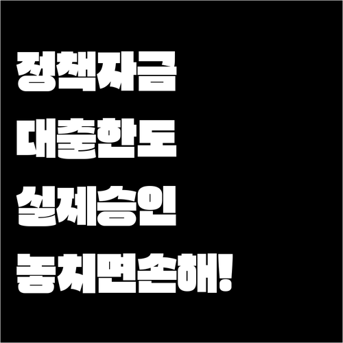 소상공인 정책자금 대출 한도와 실제 승인 금액