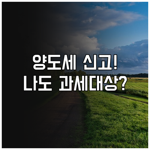 양도소득세 신고 대상은 누구일까? 자산별 과세 조건
