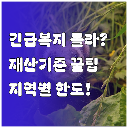 긴급복지 생계지원 재산 기준, 지역별 한도와 가구별 계산
