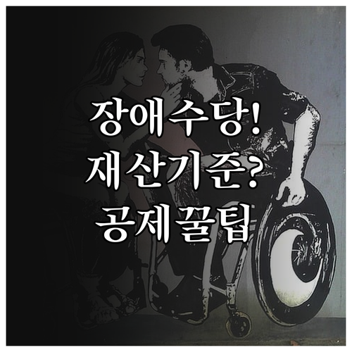 장애수당 신청 전 확인할 재산 기준과 공제 방법