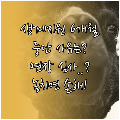 긴급복지 생계지원 최장 6개월, 중단 사유와 연장 심사