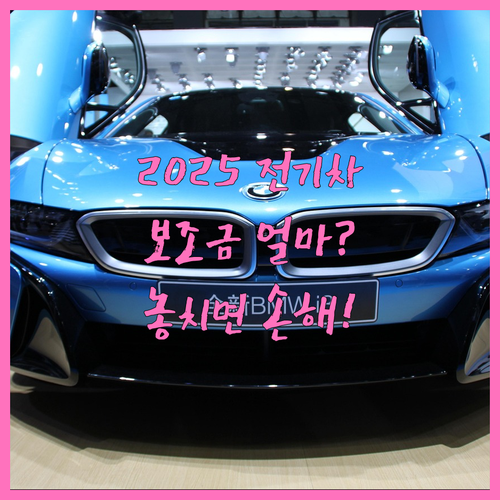 2025 전기차 보조금은 얼마나 받을 수 있을까?