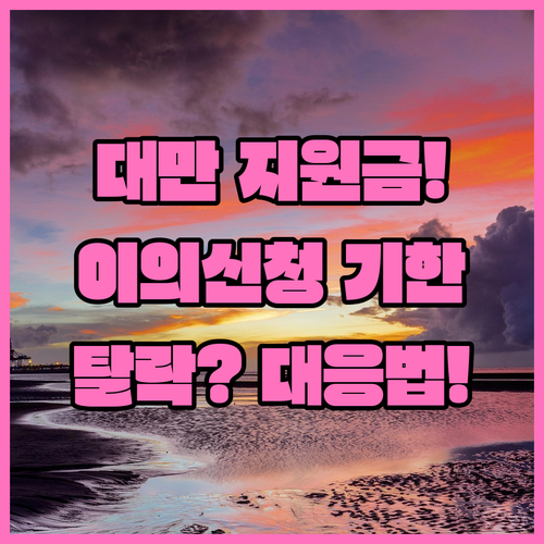 2026 대만여행 지원금 이의 신청 기한과 결과별 대응