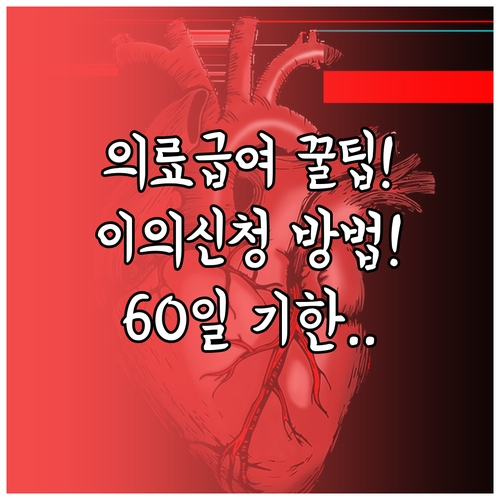 의료급여 이의신청 방법과 60일 접수 기한