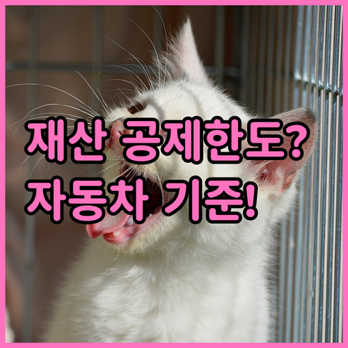 생계급여 재산 공제한도, 지역별 차이와 자동차 기준